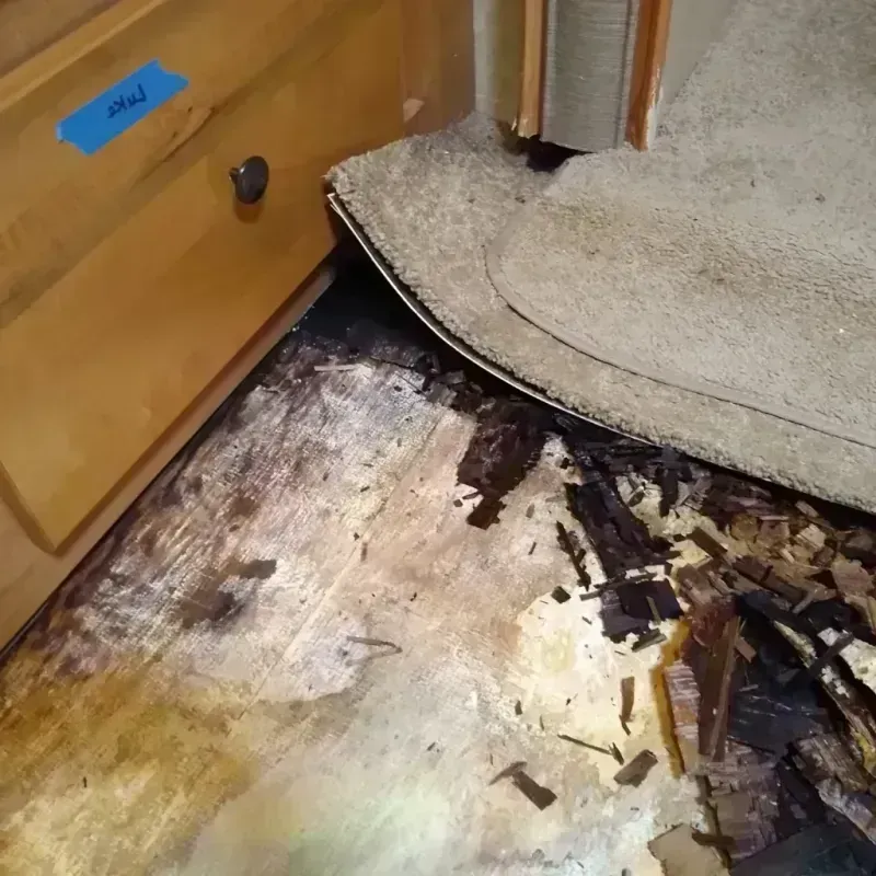 Best Wood Floor Water Damage Service in San Ramon, CA